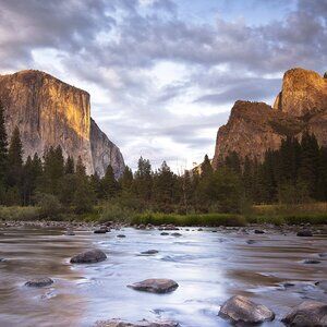 green & gray lulu short